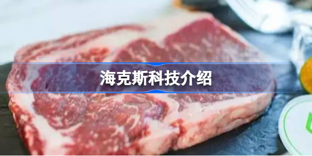 海克斯科技是什么梗-海克斯科技食品什么意思