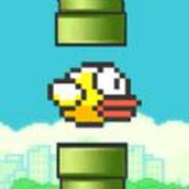 笨鸟努努下载安装