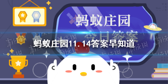 成语“鸠占鹊巢”中的“鹊”指什么-蚂蚁庄园11.14答案早知道