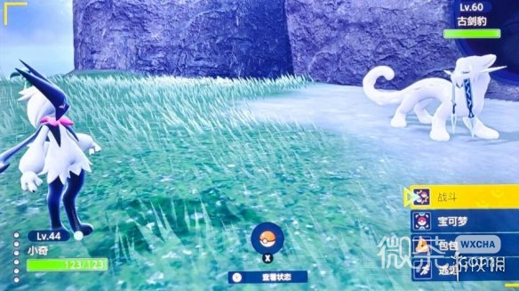 宝可梦朱紫二级神一周目可以抓吗攻略