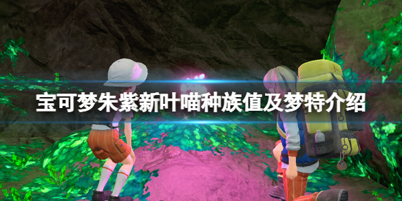 《宝可梦朱紫》新叶喵性格有哪些？新叶喵种族值及梦特介绍