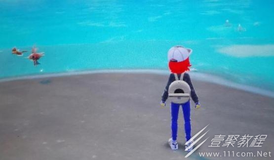 宝可梦朱紫鲤鱼王刷法攻略