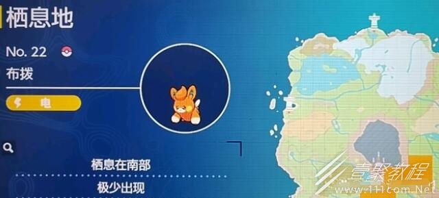 宝可梦朱紫布波抓法攻略