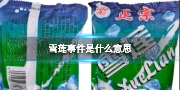 雪莲事件是什么意思
