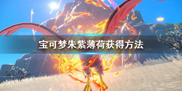 《宝可梦朱紫》薄荷怎么获得？薄荷获得方法