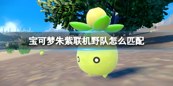 《宝可梦朱紫》联机野队怎么匹配？六星坑宝可梦努力值技能搭配