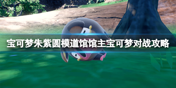 《宝可梦朱紫》圆模道馆馆主宝可梦对战攻略 道馆挑战怎么打？