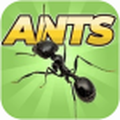蚂蚁模拟器最新版