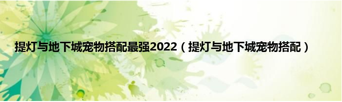 提灯与地下城宠物搭配*强2022