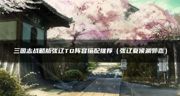 三国志战略版张辽T0阵容搭配攻略秘籍
