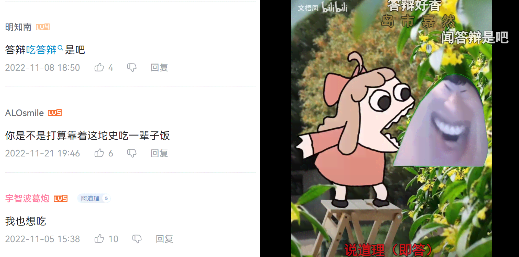 依托答辩是什么意思？