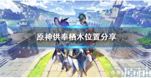 原神供奉栖木在哪里-供奉栖木分布位置一览