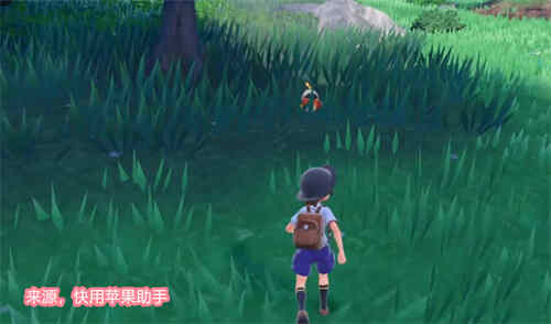 宝可梦朱紫怎么删除存档 朱紫存档删除方法