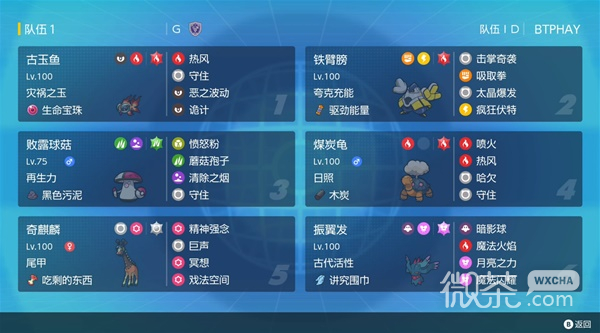 宝可梦：朱紫奇麒麟空间队搭配一览