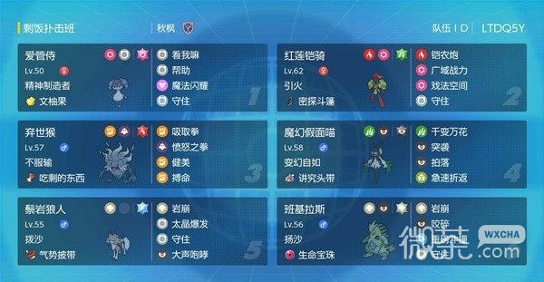 宝可梦：朱紫双打超能兄弟配置一览