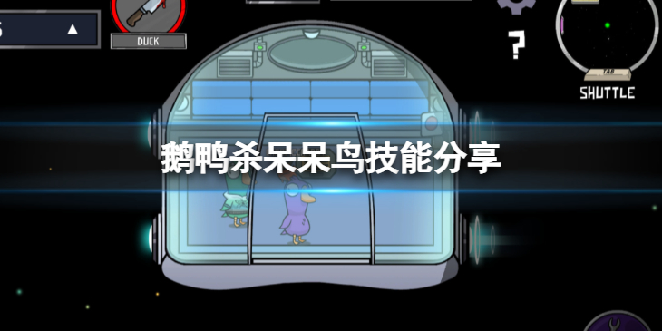 《鹅鸭杀》呆呆鸟技能是什么？呆呆鸟技能分享