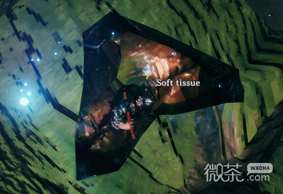 英灵神殿软组织怎么获得攻略