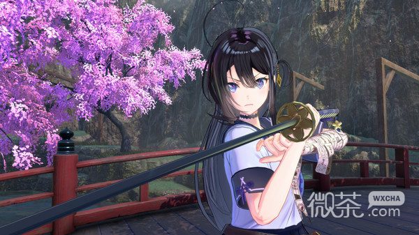 武士少女豪华版内容详情