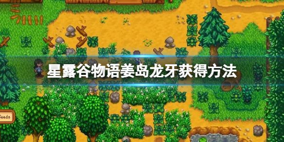《星露谷物语》姜岛龙牙怎么获得？姜岛龙牙获得方法