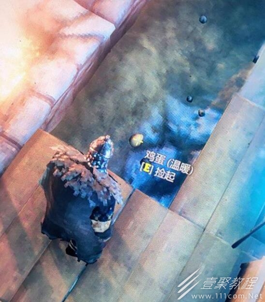 英灵神殿鸡蛋孵化方法