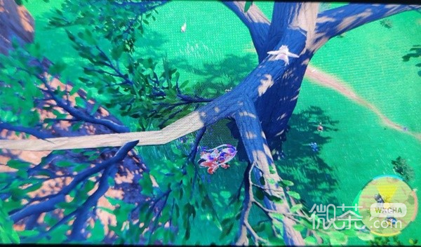 宝可梦：朱紫懒人獭捕捉位置详情