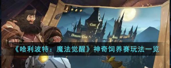 哈利波特魔法觉醒神奇饲养赛玩法一览