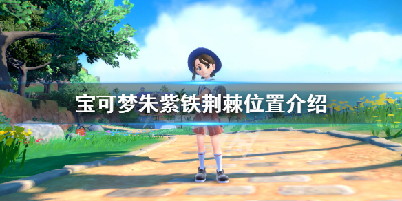 《宝可梦朱紫》铁荆棘在哪？铁荆棘位置介绍