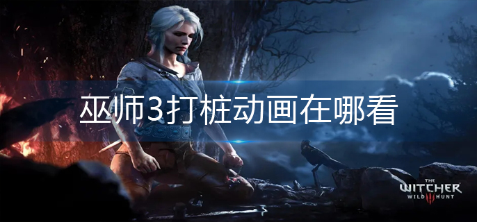 巫师3打桩动画在哪看