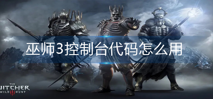 巫师3控制台代码怎么用