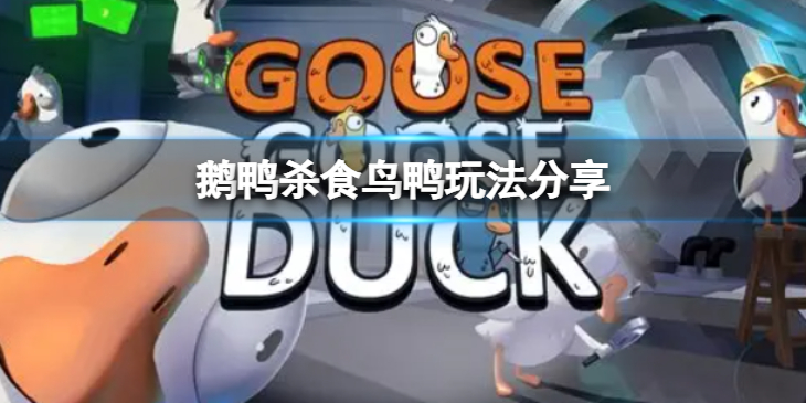 《鹅鸭杀》食鸟鸭怎么玩？食鸟鸭玩法分享