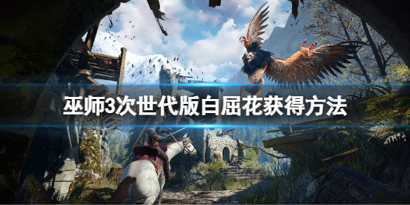 《巫师3次世代版》白屈花怎么获得？白屈花获得方法