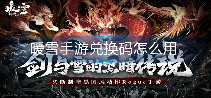 暖雪手游兑换码怎么用
