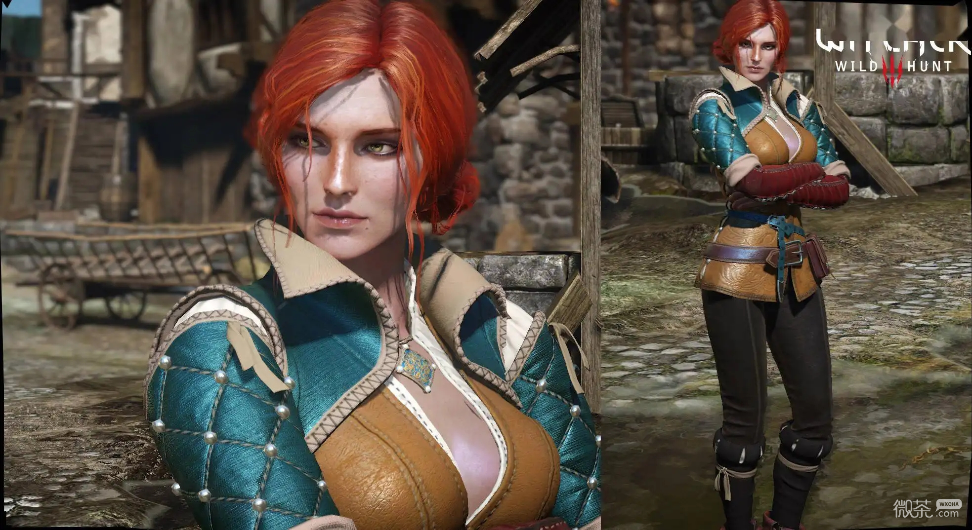 巫师3次世代版白屈花获取方法攻略