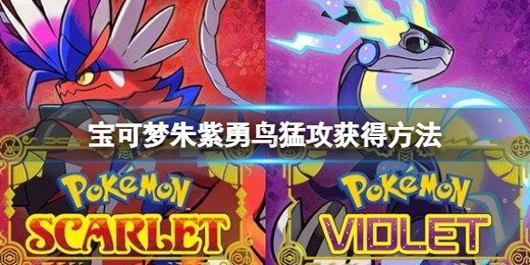 《宝可梦朱紫》勇鸟猛攻怎么获得？勇鸟猛攻获得方法