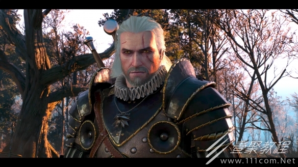 巫师3次时代新增内容介绍