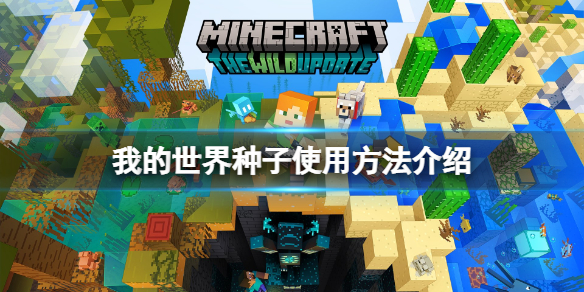 《我的世界》种子怎么输入？种子使用方法介绍