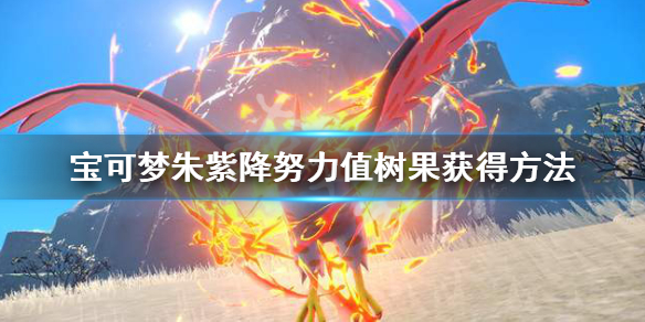 《宝可梦朱紫》怎么洗努力值？降努力值树果获得方法