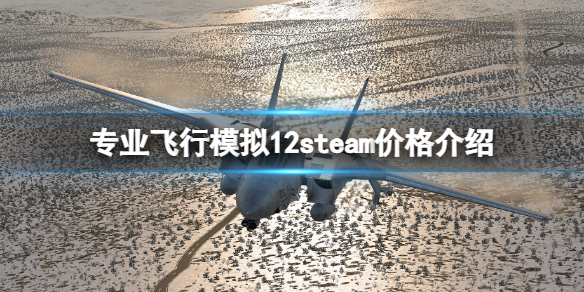 《专业飞行模拟12》多少钱？steam价格介绍