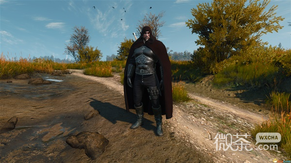 巫师3次时代版新增装备控制台代码一览