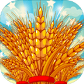 疯狂看大米安卓版