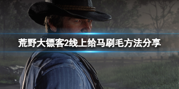 《荒野大镖客2》怎么给马刷毛？线上给马刷毛方法分享