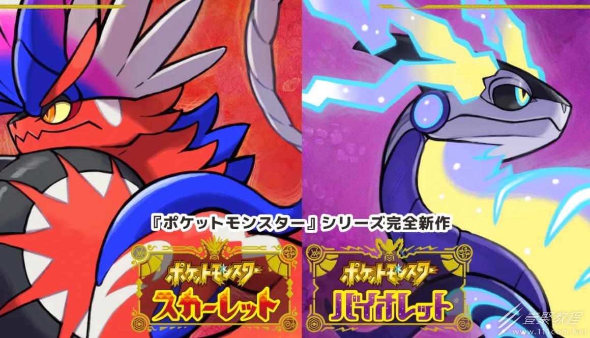 宝可梦朱紫双打雨天队搭配思路分享