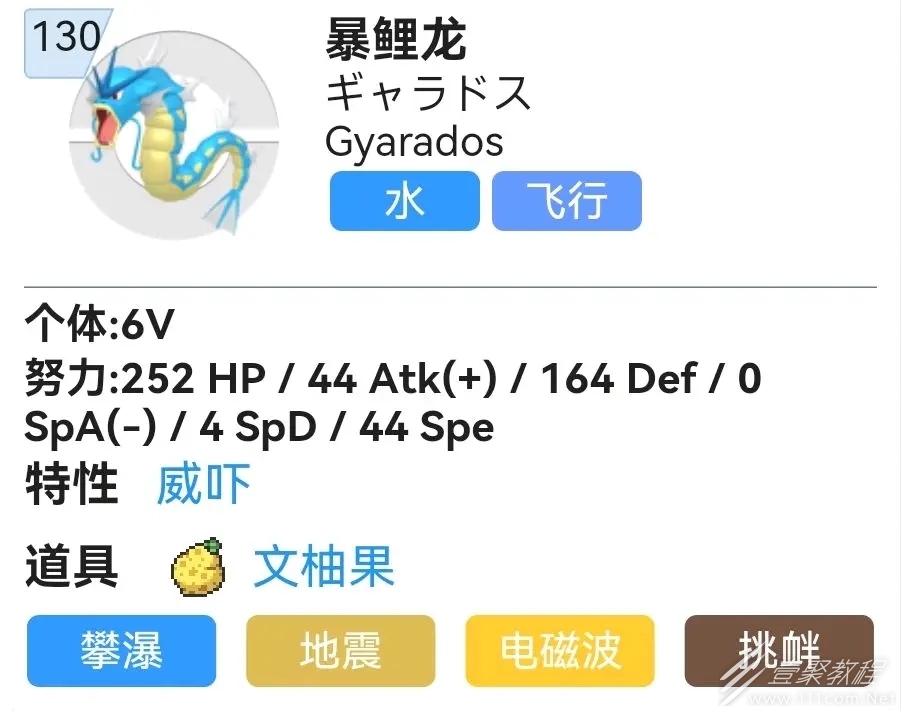 宝可梦朱紫暴鲤龙性格选择及努力值分配攻略