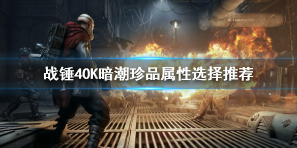 《战锤40K暗潮》珍品属性怎么选择？珍品属性选择推荐