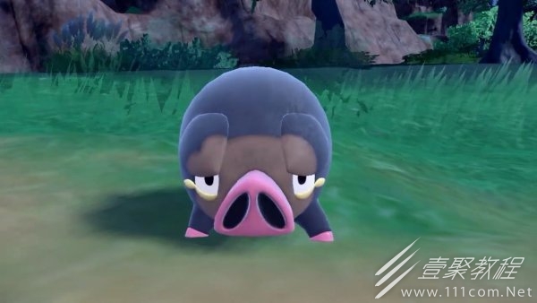 宝可梦：朱紫六星坑辅助宝可梦攻略