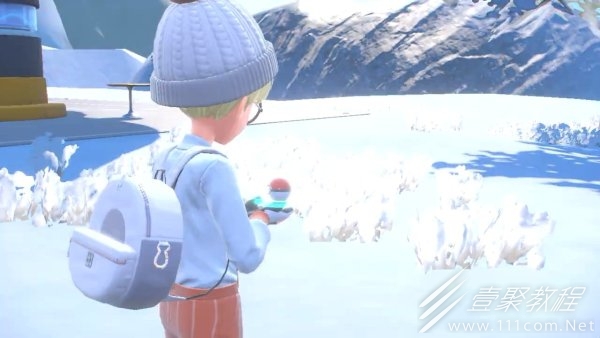 宝可梦：朱紫波普海豚高效刷闪位置介绍