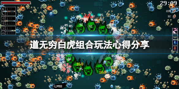 《道无穷》白虎组合怎么玩？白虎组合玩法心得分享