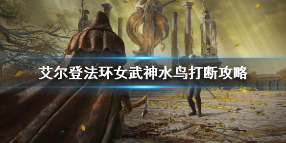 《艾尔登法环》女武神水鸟怎么躲？女武神水鸟打断攻略