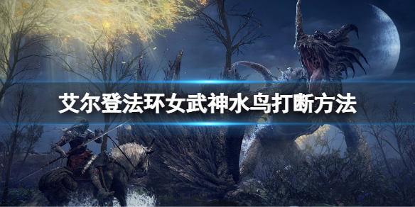 《艾尔登法环》女武神水鸟怎么打断？女武神水鸟打断方法