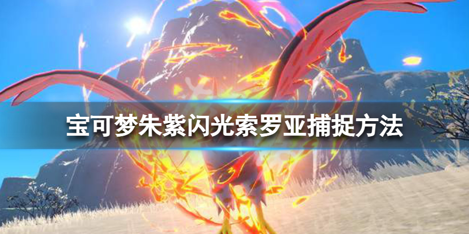 《宝可梦朱紫》闪光索罗亚在哪抓？闪光索罗亚捕捉方法